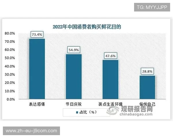 围绕佳乐家足球鞋是否为品牌的深度探讨与市场认知全景解读分析篇